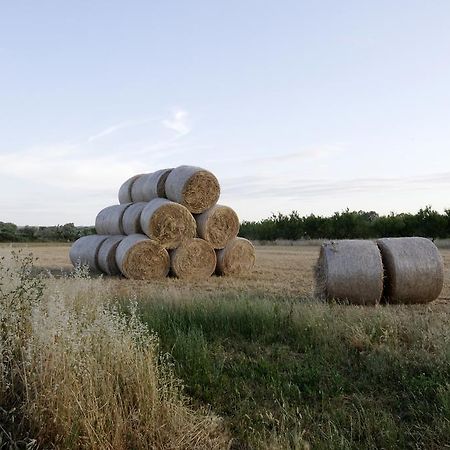 Agrimat Salento Villa Alezio المظهر الخارجي الصورة