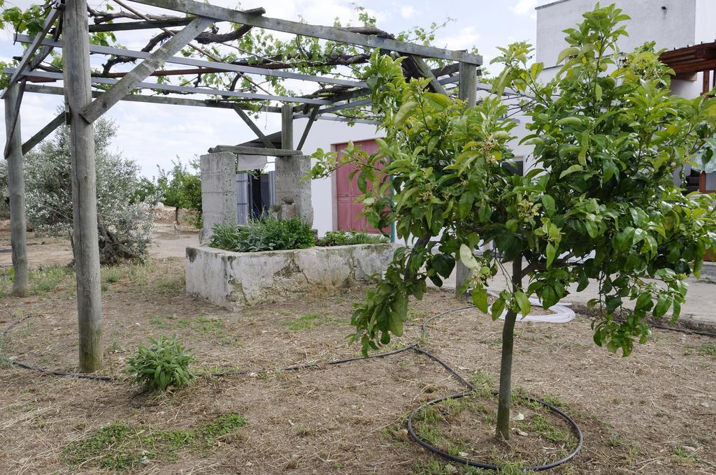 Agrimat Salento Villa Alezio المظهر الخارجي الصورة