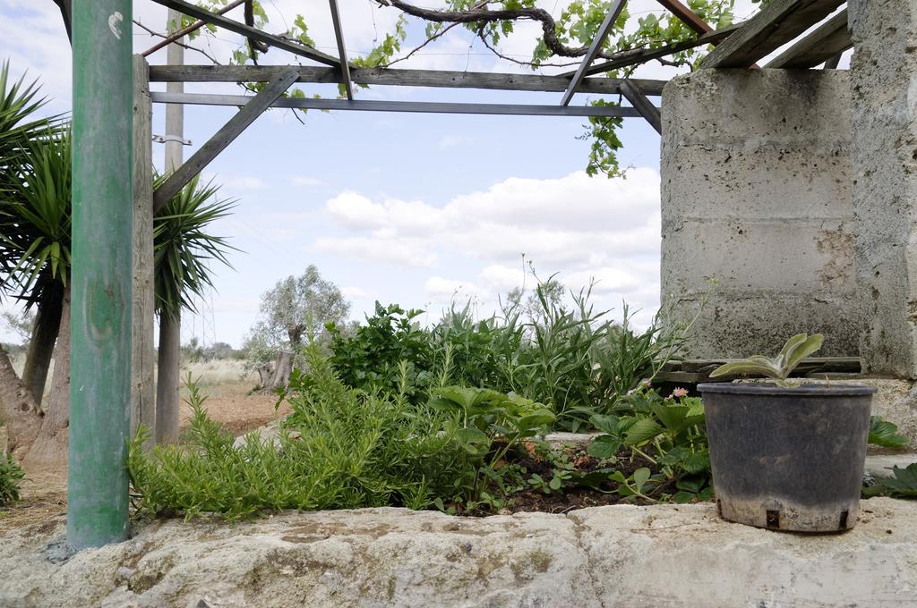 Agrimat Salento Villa Alezio المظهر الخارجي الصورة